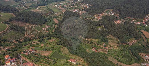 1 bedroom House in Felgueiras, Portugal No. 20878 2