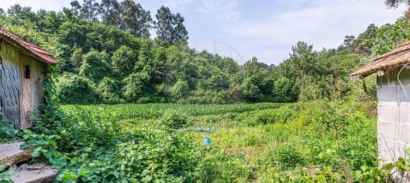 1 bedroom House in Felgueiras, Portugal No. 20878 7