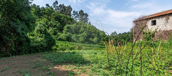 1 bedroom House in Felgueiras, Portugal No. 20878 13