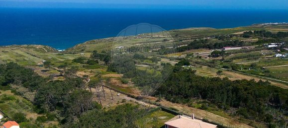 Дом с 4 спальнями в Синтра, Португалия № 28192 13