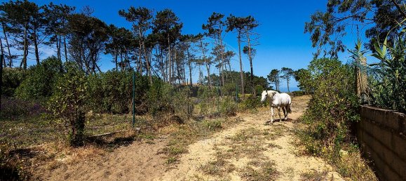 Дом с 4 спальнями в Синтра, Португалия № 28192 15