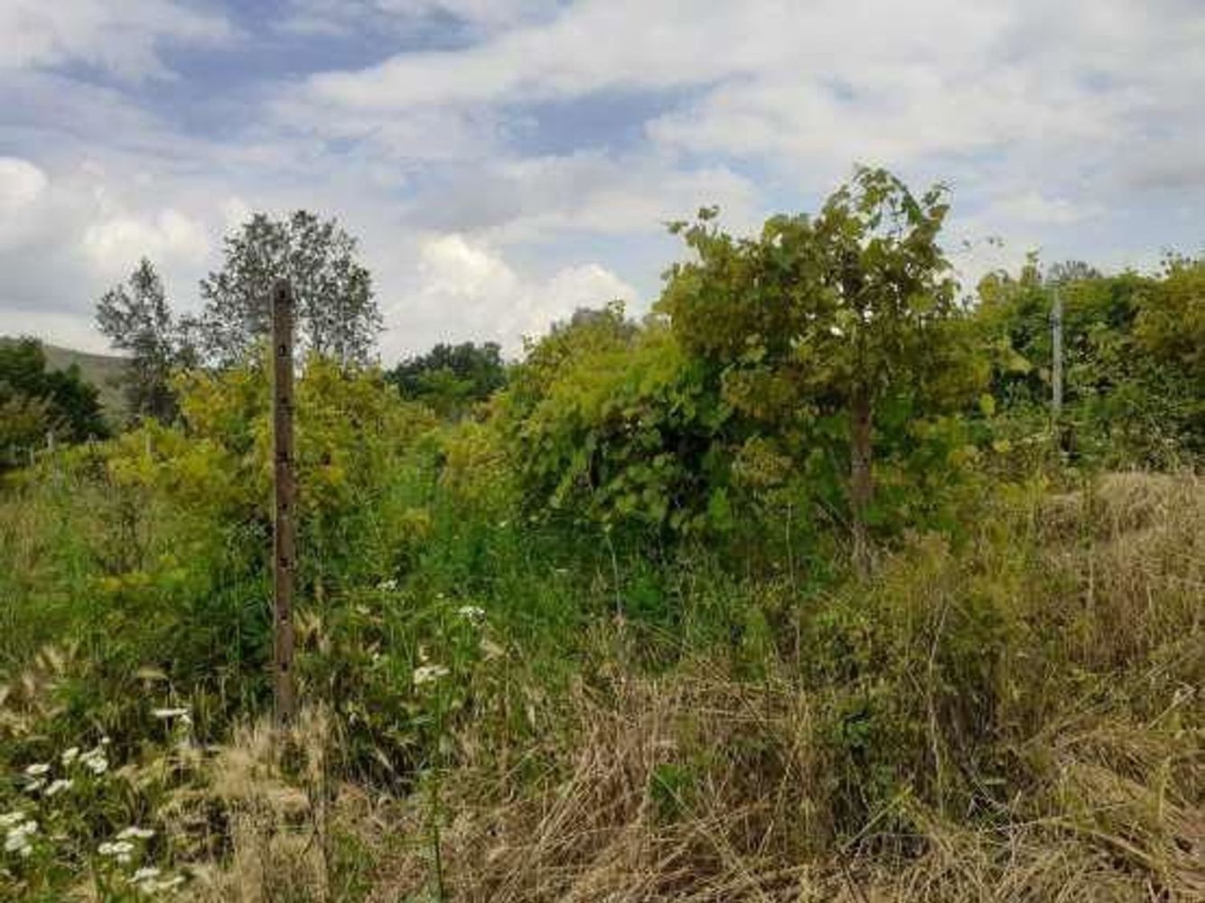 36984m² Land in Borgoratto Mormorolo, Italy No. 5104