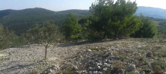 Hotel en Zakynthos, Greece No. 677 11