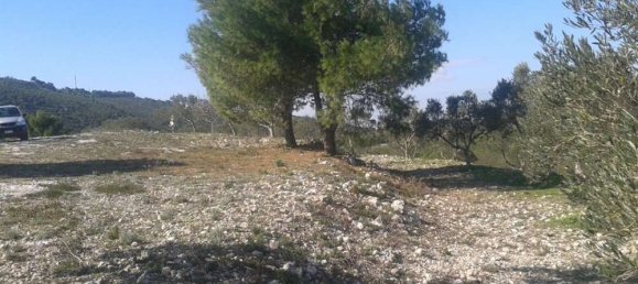 Hotel en Zakynthos, Greece No. 677 2