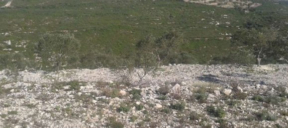 Hotel en Zakynthos, Greece No. 677 4