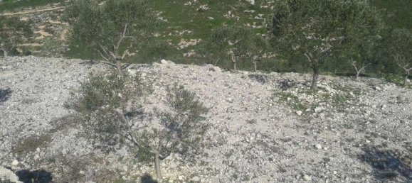 Hotel en Zakynthos, Greece No. 677 6