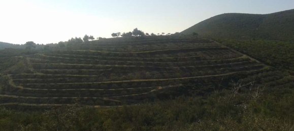 Hotel en Zakynthos, Greece No. 677 7