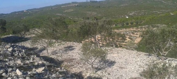 Hotel en Zakynthos, Greece No. 677 8