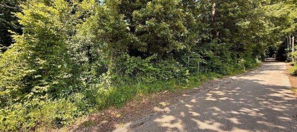 Terrain à Eichgraben, Austria No. 252218 2