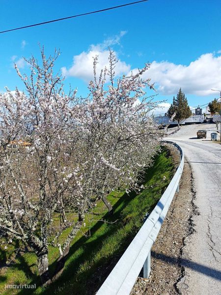 Grundstück in Sao Joao da Pesqueira, Portugal 8400m², Nr. 219928