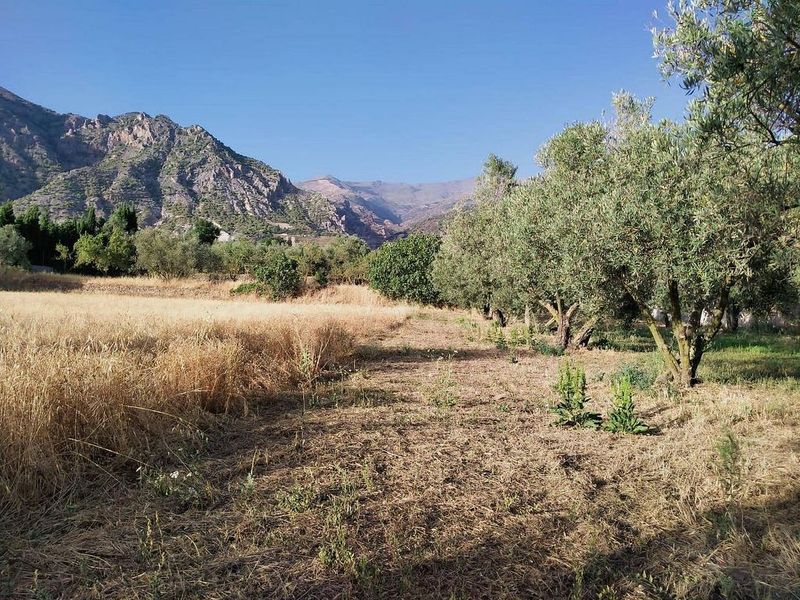 Terreno en Granada, Spain 2884 m² No. 222385