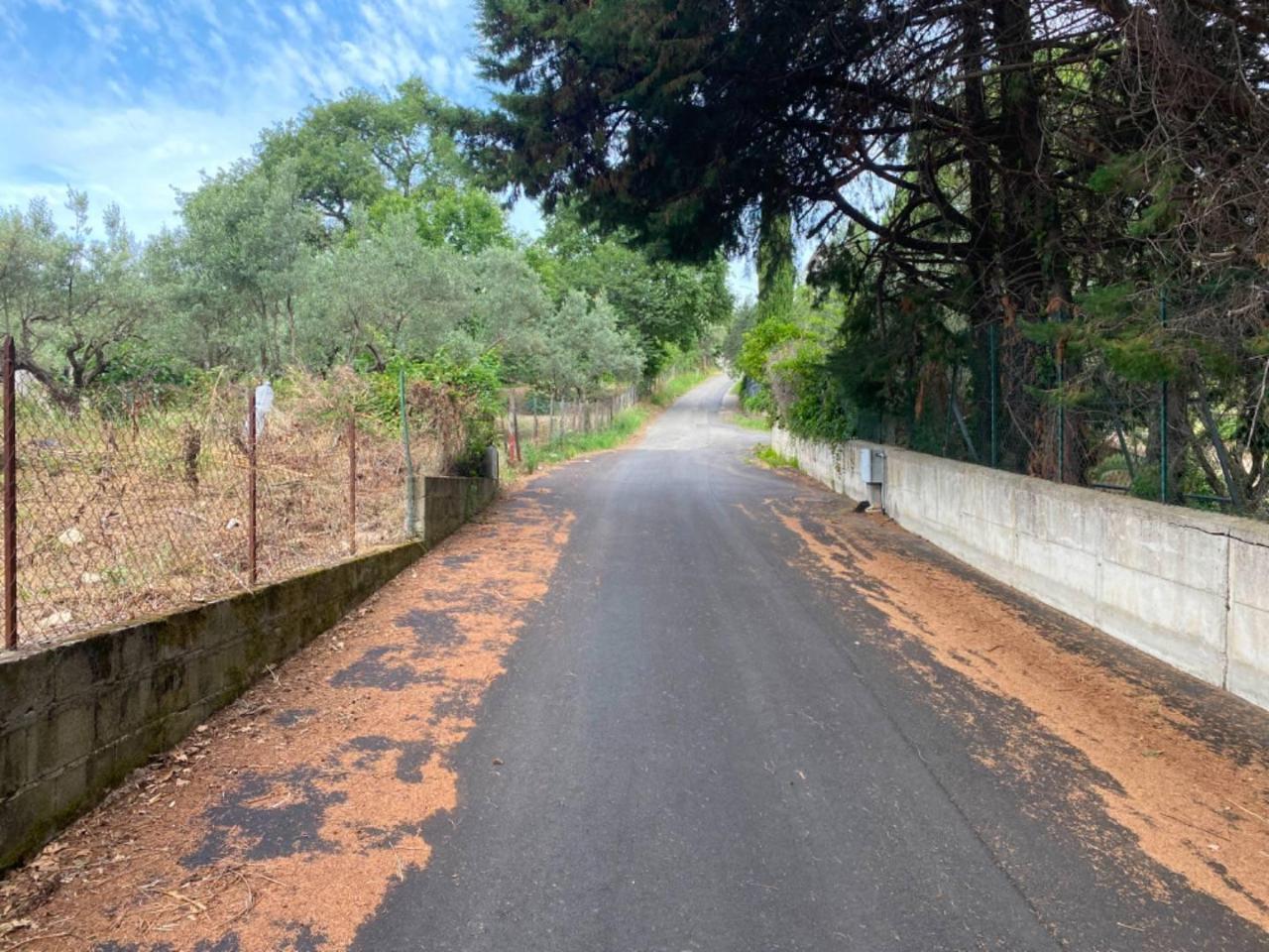 1-Zimmer Grundstück in Simeri Crichi, Italy, Nr. 19084