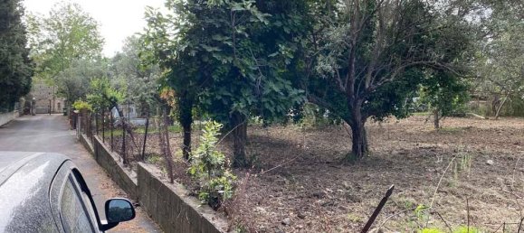 1-Zimmer Grundstück in Simeri Crichi, Italy, Nr. 19084 9