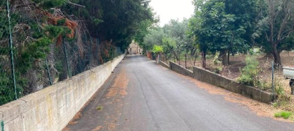 1-Zimmer Grundstück in Simeri Crichi, Italy, Nr. 19084 6