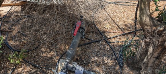 Grundstück in Cartagena, Spain, Nr. 162037 17