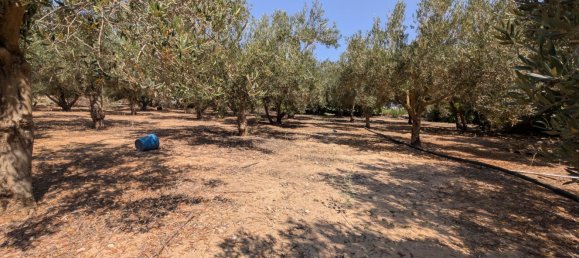 Grundstück in Cartagena, Spain, Nr. 162037 16