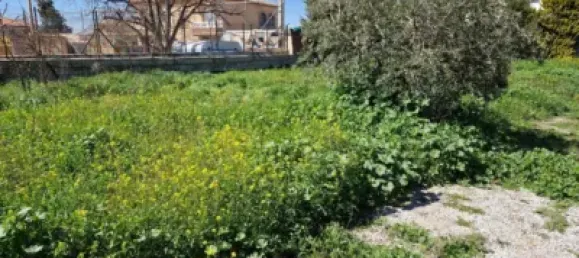 Grundstück in Granada, Spain, Nr. 175251 20