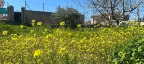 Grundstück in Granada, Spain, Nr. 175251 7