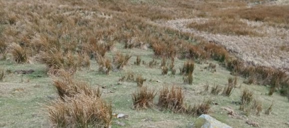 1 Schlafzimmer Haus in Cantabria, Spain, Nr. 158530 2