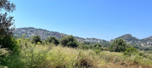 11700m² Land in Denia, Spain No. 152794 2