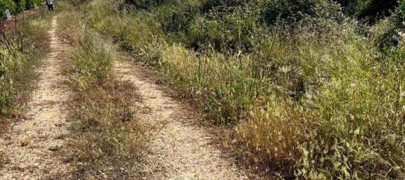 11700m² Land in Denia, Spain No. 152794 4