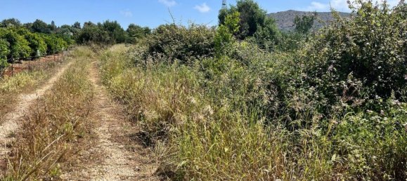 11700m² Land in Denia, Spain No. 152794 3