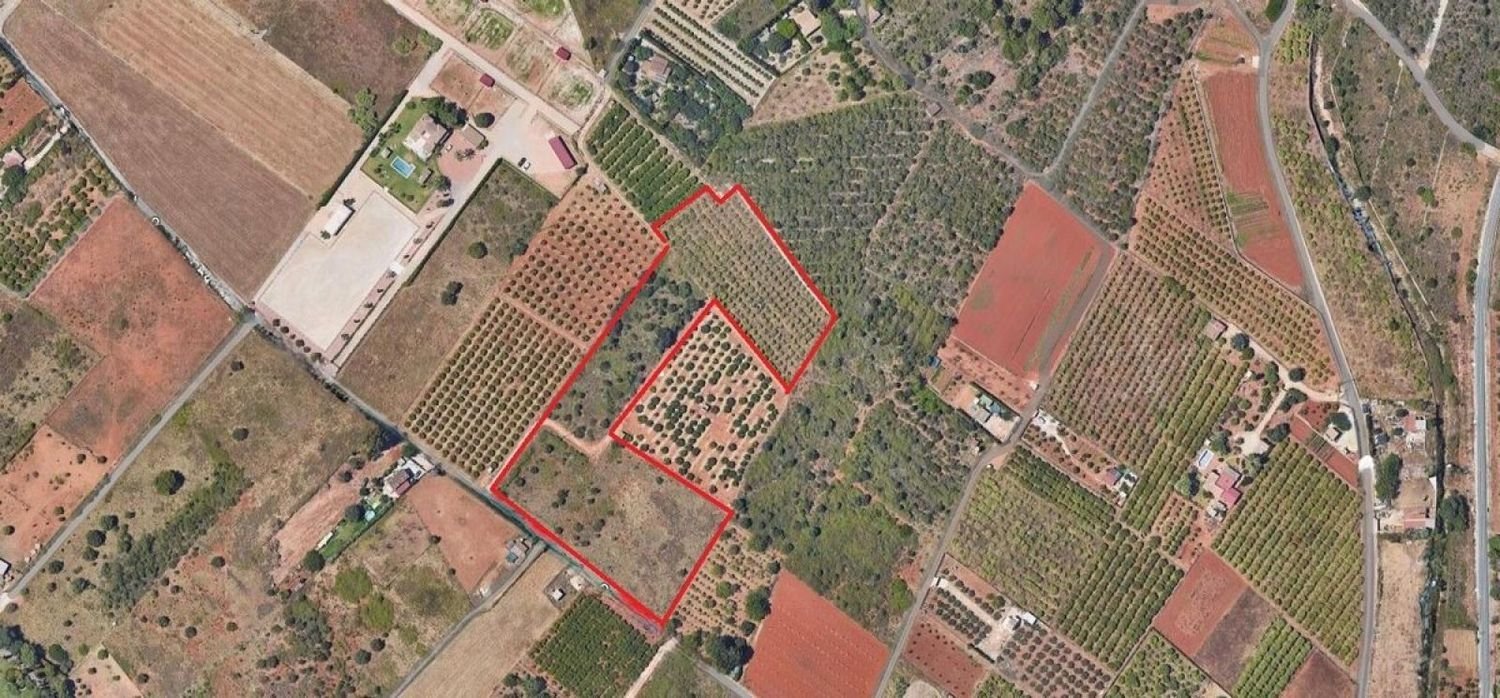 11700m² Land in Denia, Spain No. 152794