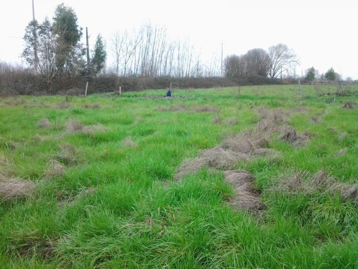 3 bedrooms House in Biobio, Chile No. 3289