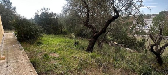 Вилла с 5 комнатами в Остуни, Италия № 29505 27