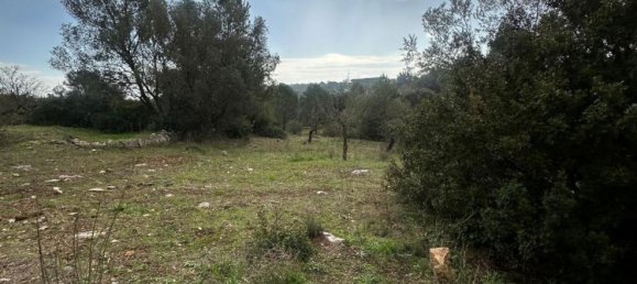 Вилла с 5 комнатами в Остуни, Италия № 29505 28