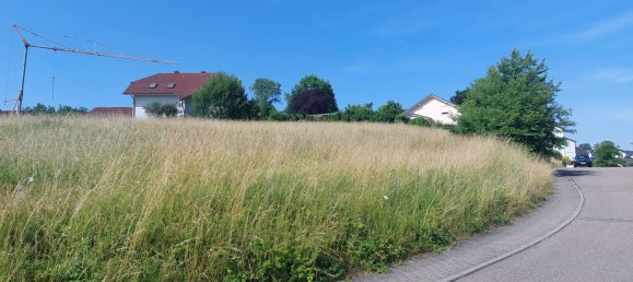 Terrain à Karlsruhe, Germany No. 38076 7