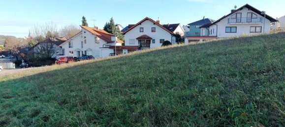 Terrain à Karlsruhe, Germany No. 38076 2