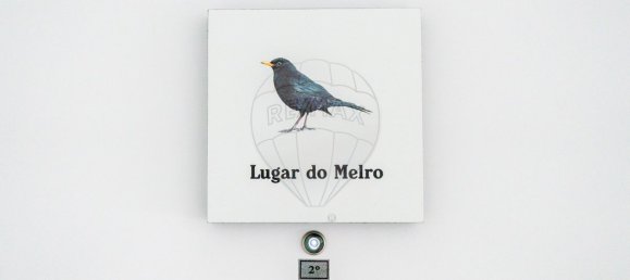 7 غرف نوم منزل في Cardigos, Portugal رقم 182737 34