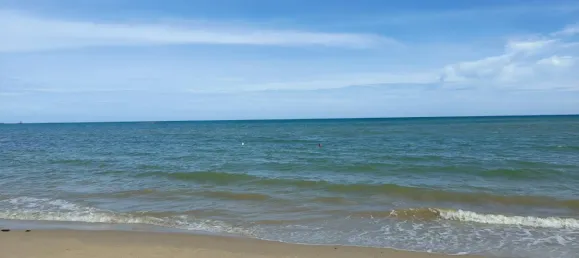 Земельный участок 1100м² в Бан Чанг, Таиланд № 72101 2