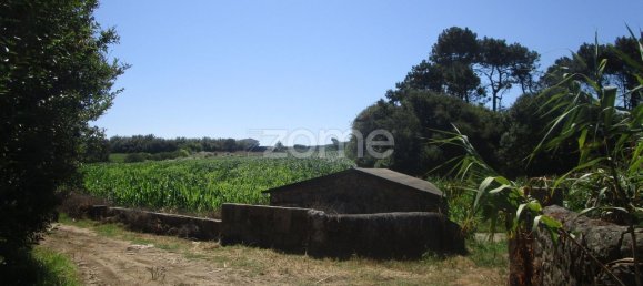  قطعة أرض في Vila Cha, Portugal 5290متر مربع رقم 146497 13