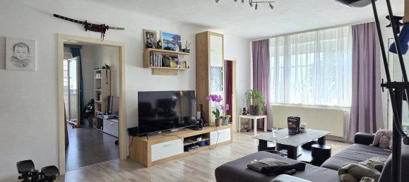 3-Zimmer Wohnung in Neufeld an der Leitha, Austria, Nr. 149149 3