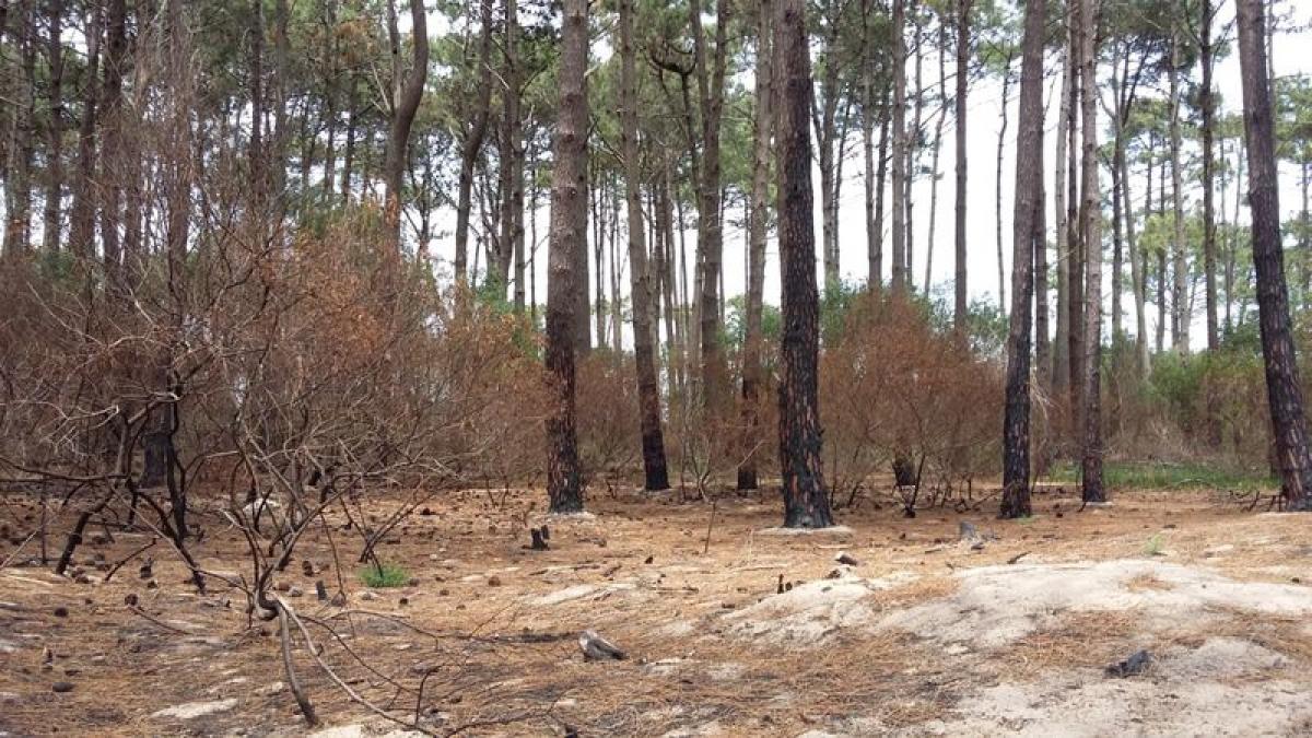 Terreno em Maldonado, Uruguay N.º 14502