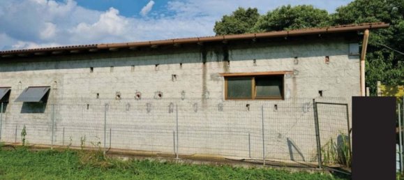 7 rooms Apartment in Riese Pio X, Italy No. 206385 18