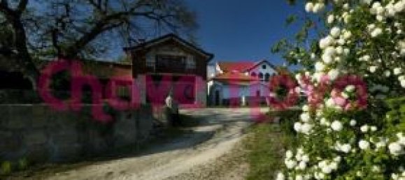 Здание с 6 спальнями в Сан Педру ду Сул, Португалия № 52116 5