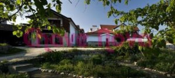 Здание с 6 спальнями в Сан Педру ду Сул, Португалия № 52116 7