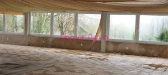 Здание с 6 спальнями в Сан Педру ду Сул, Португалия № 52116 24