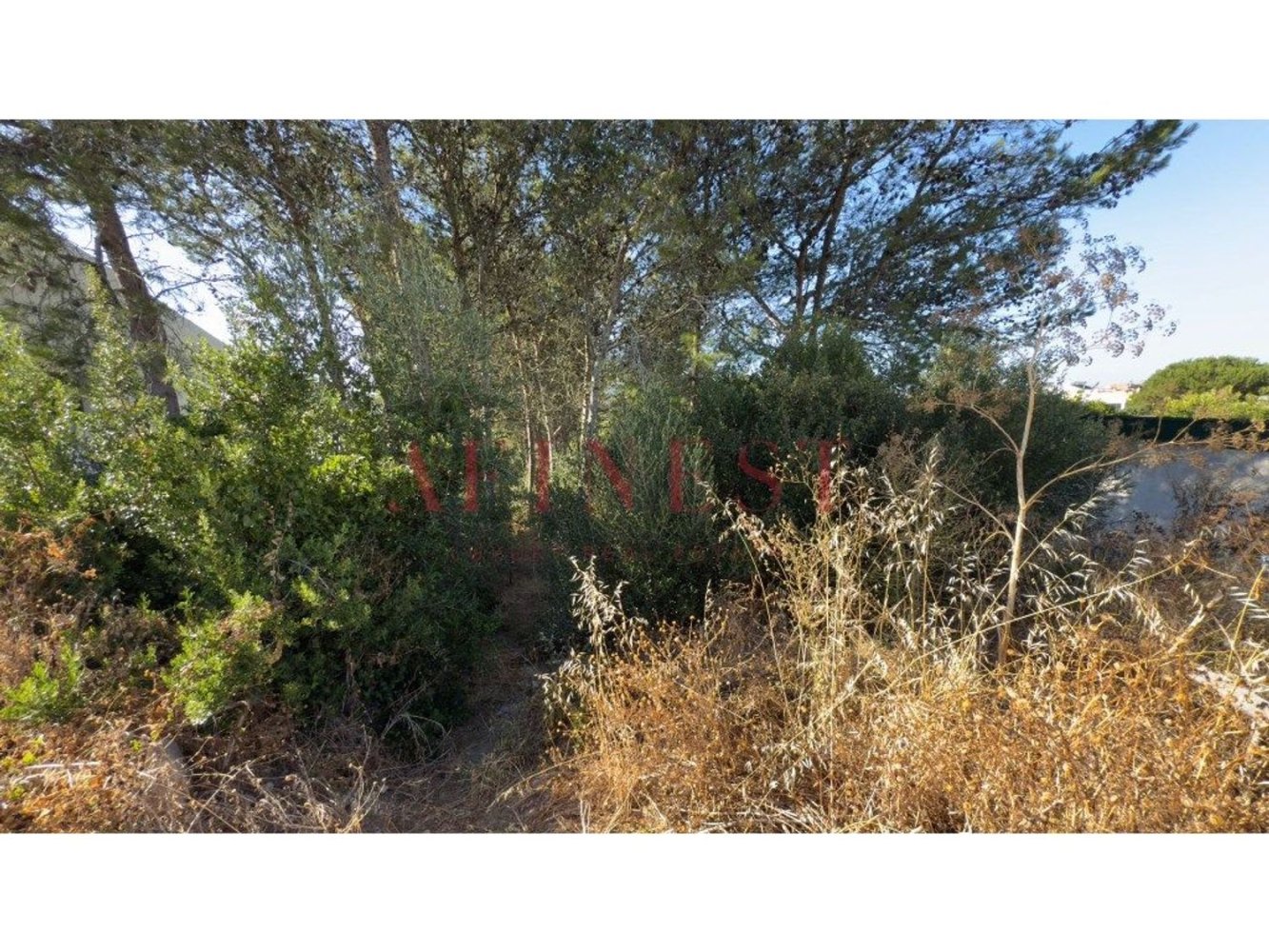  Land in Cascais, Portugal No. 200609