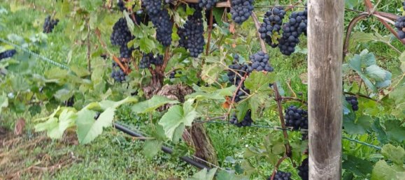 Terreno em Heilbronn, Germany N.º 279274 9