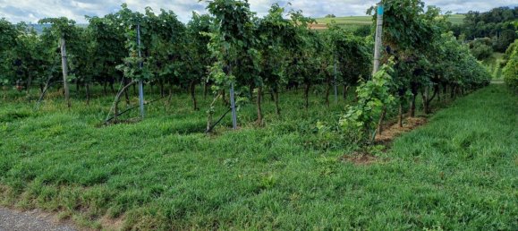 Terreno em Heilbronn, Germany N.º 279274 3