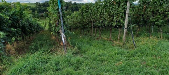 Terreno em Heilbronn, Germany N.º 279274 4