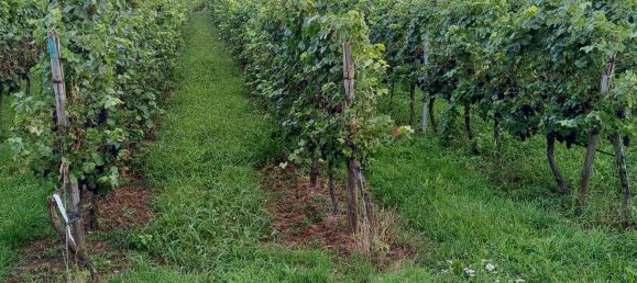 Terreno em Heilbronn, Germany N.º 279274 10