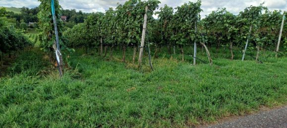 Terreno em Heilbronn, Germany N.º 279274 5