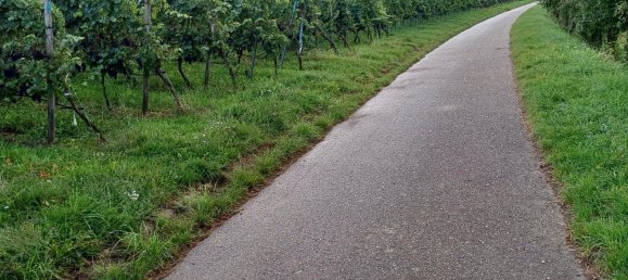 Terreno em Heilbronn, Germany N.º 279274 11