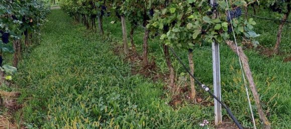 Terreno em Heilbronn, Germany N.º 279274 6