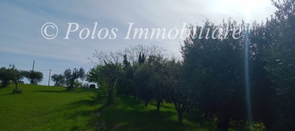3000m² Land in Montottone, Italy No. 122951 9